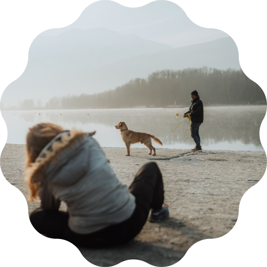 golden-retriever-nature-photographie-canine